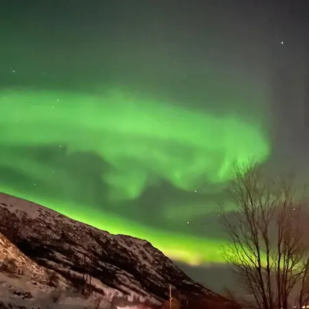 Lofoten Havfiske Leknes