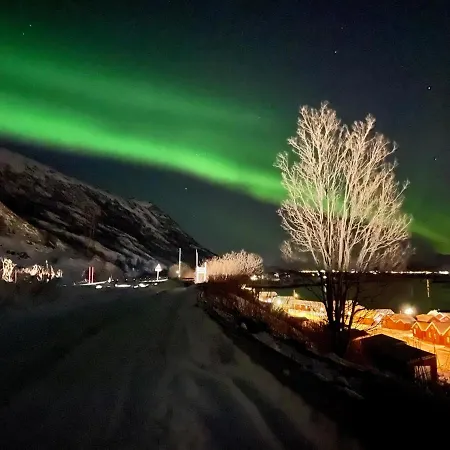 Lofoten Havfiske Holiday home *