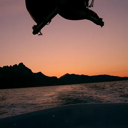 Lofoten Havfiske