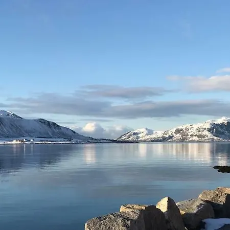 Lofoten Havfiske
