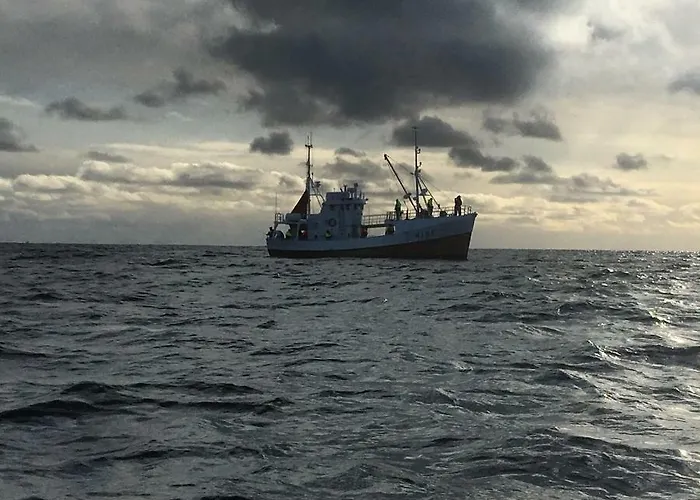 Semesterbostad Lofoten Havfiske *