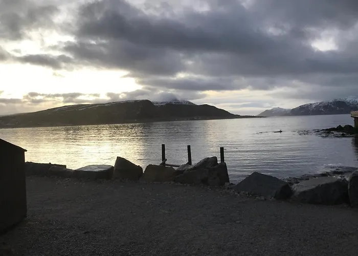 Lofoten Havfiske 펜션 레크네스
